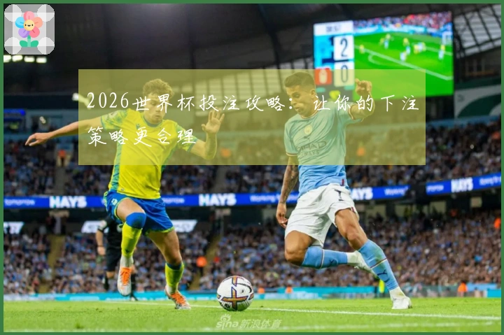 2026世界杯投注攻略：让你的下注策略更合理