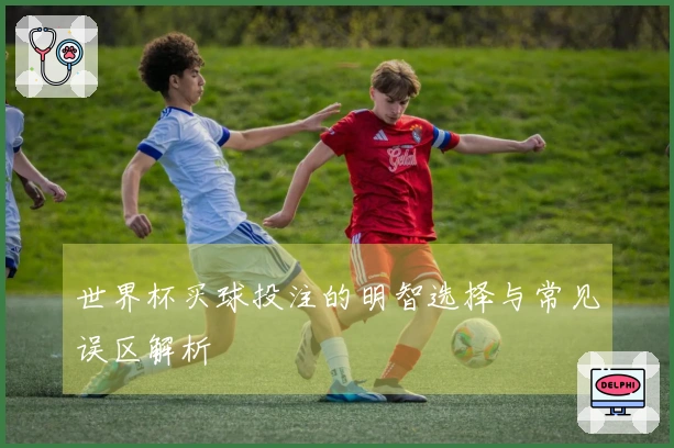 世界杯买球投注的明智选择与常见误区解析