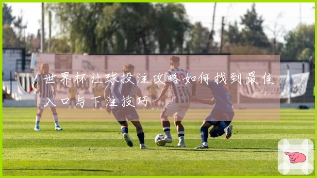 世界杯让球投注攻略如何找到最佳入口与下注技巧