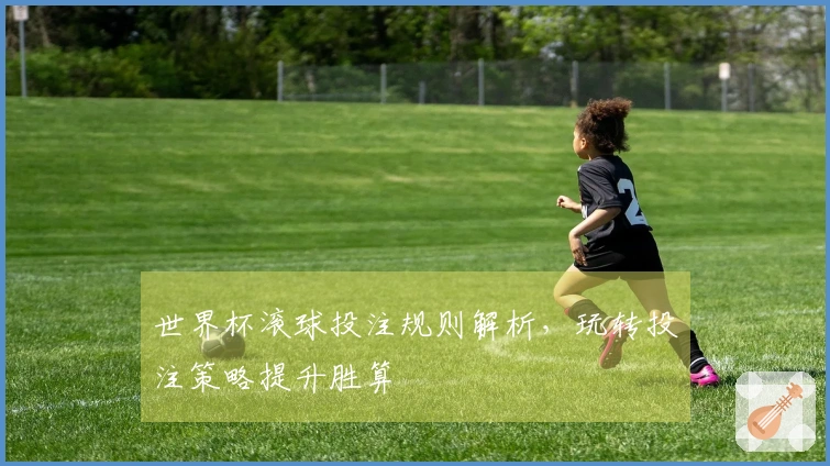 世界杯滚球投注规则解析，玩转投注策略提升胜算