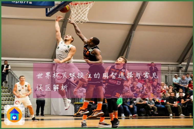 世界杯买球投注的明智选择与常见误区解析