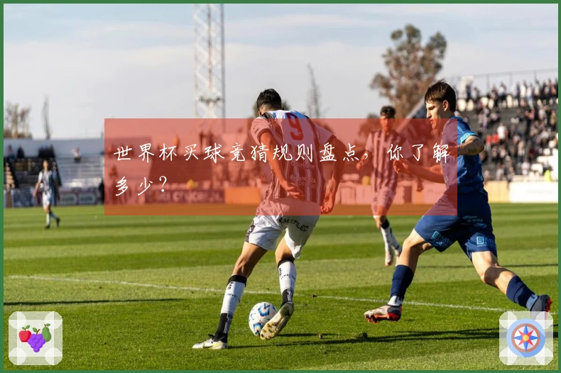 世界杯买球竞猜规则盘点，你了解多少？