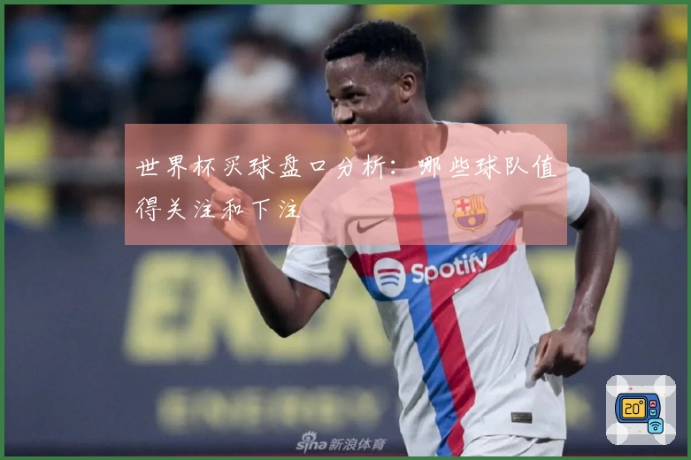 世界杯买球盘口分析：哪些球队值得关注和下注